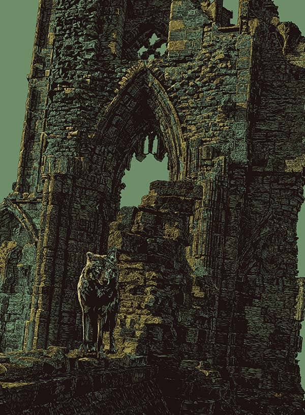 Illustration project by 