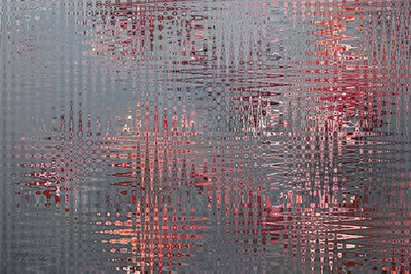 Photography project by 