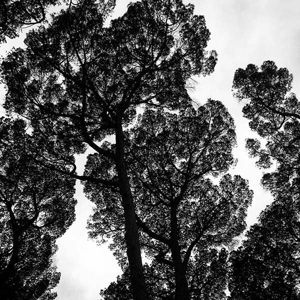 Photography project by 