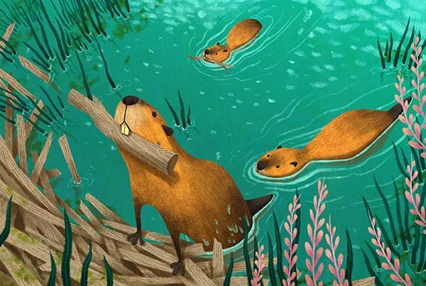 Illustration project by 