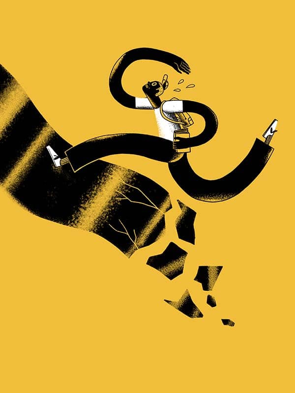 Illustration project by 