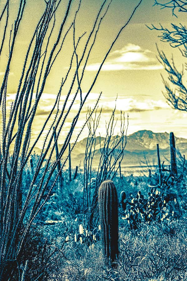 Photography project by 