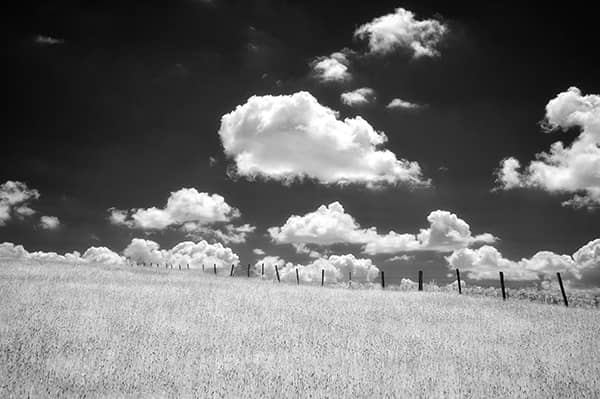 Photography project by 