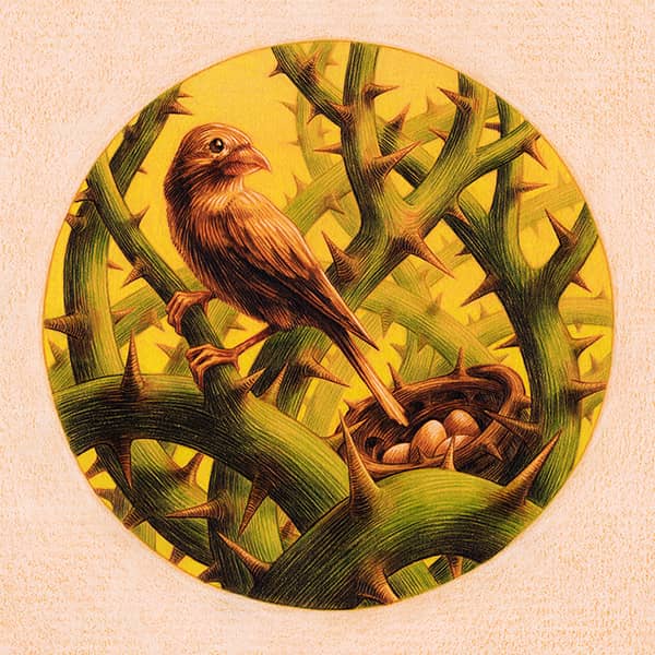 Illustration project by 