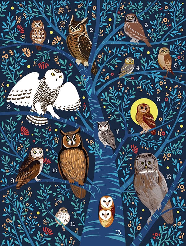 Illustration project by 