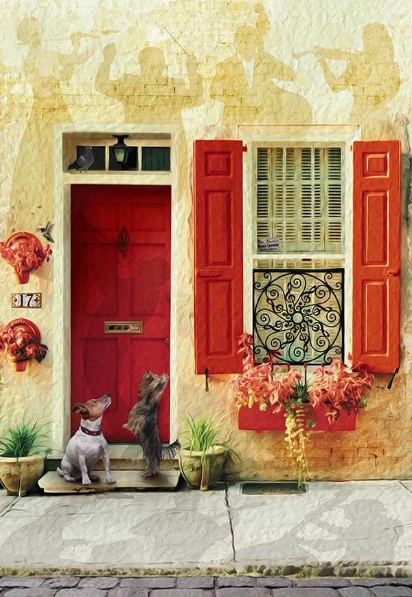 Illustration project by 