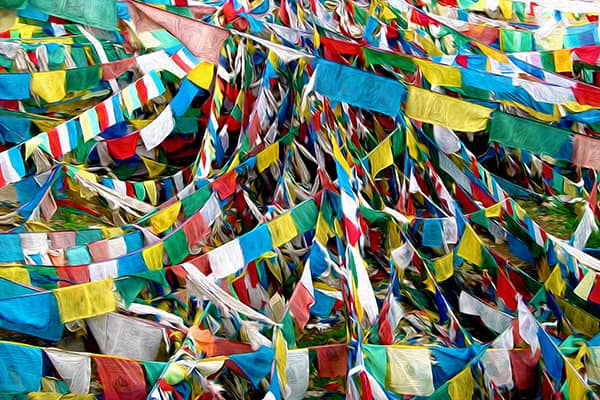 Photography project by 