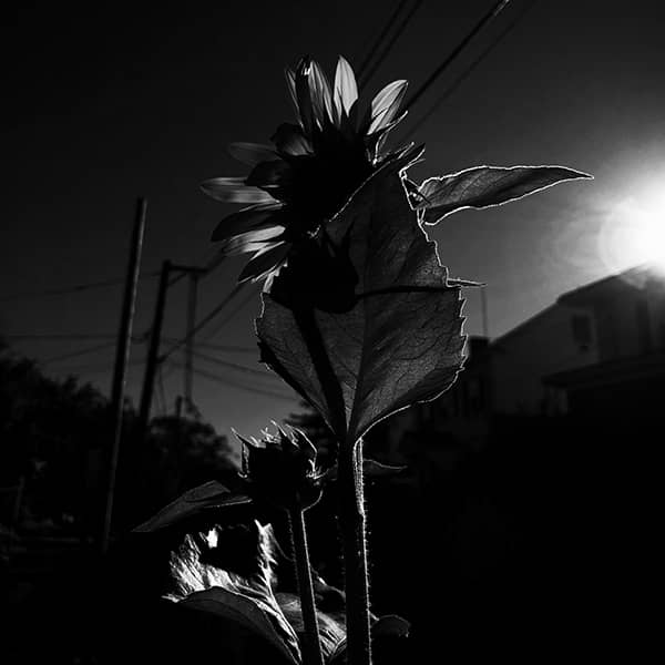 Photography project by 