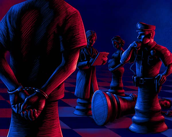 Illustration project by 