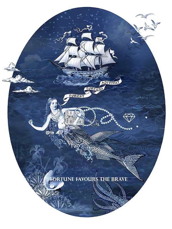 Illustration project by 