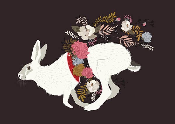 Illustration project by 