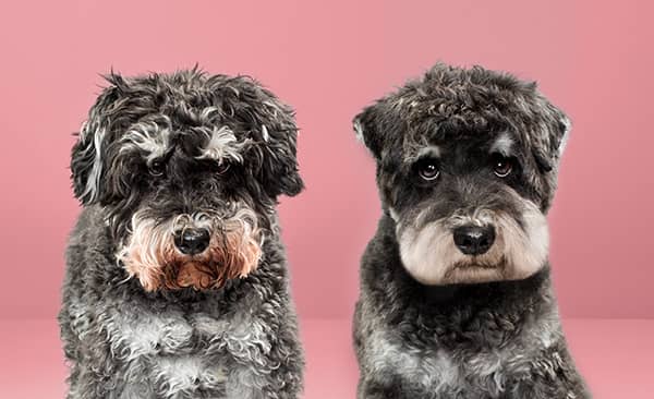 Photography project by 