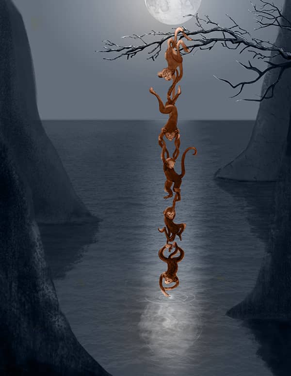 Illustration project by 