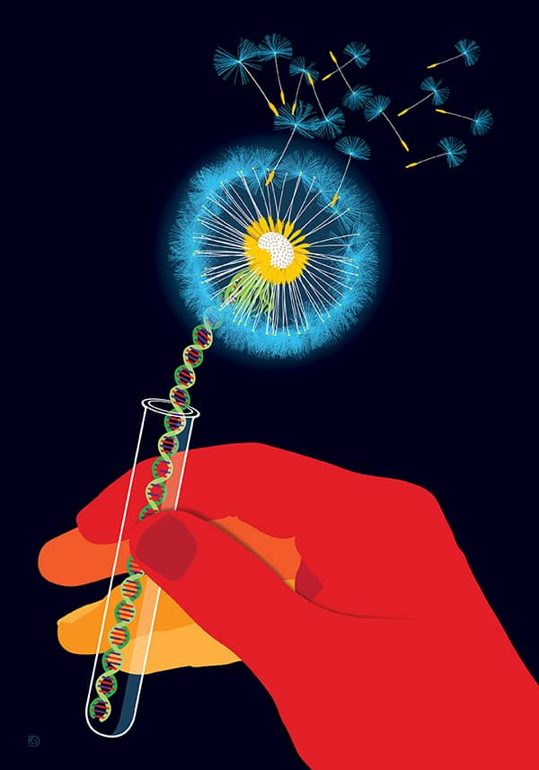 Illustration project by 