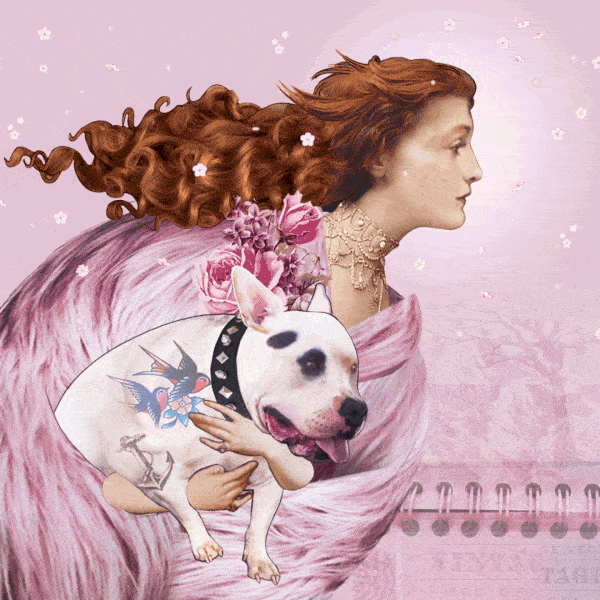 Illustration project by 