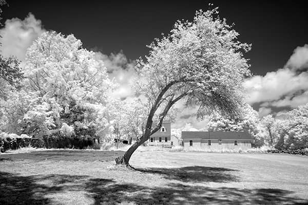 Photography project by 