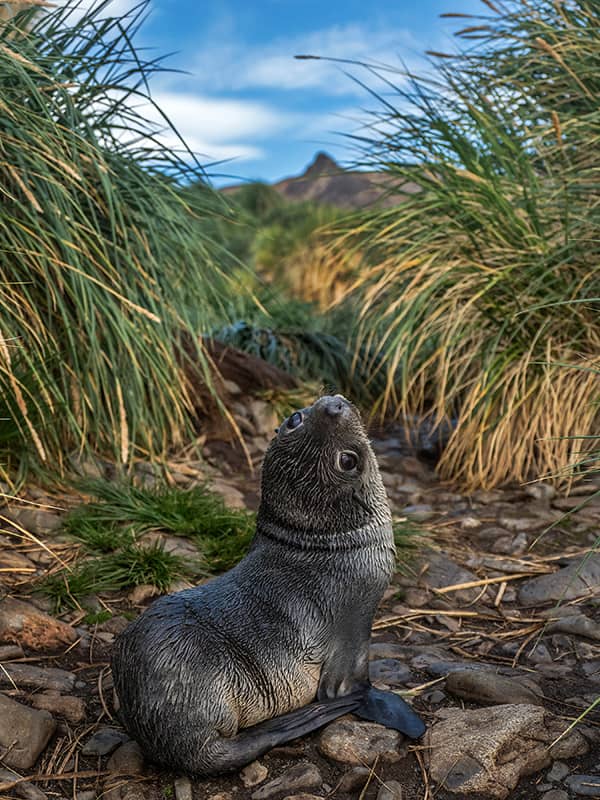 Photography project by 