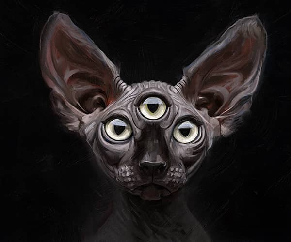 Illustration project by 