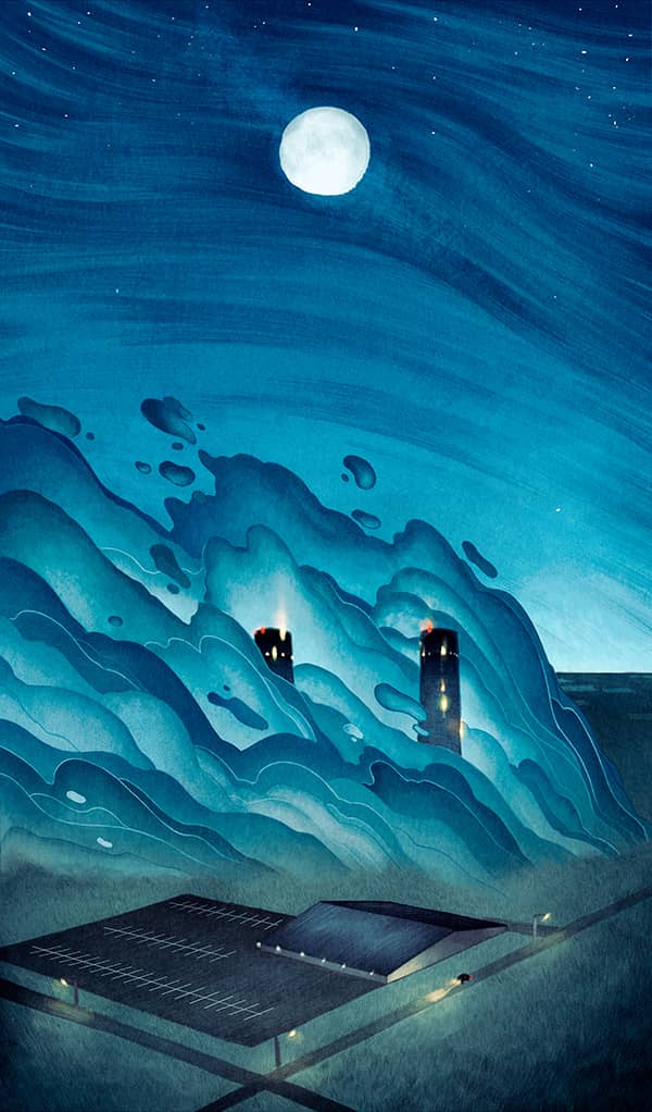 Illustration project by 