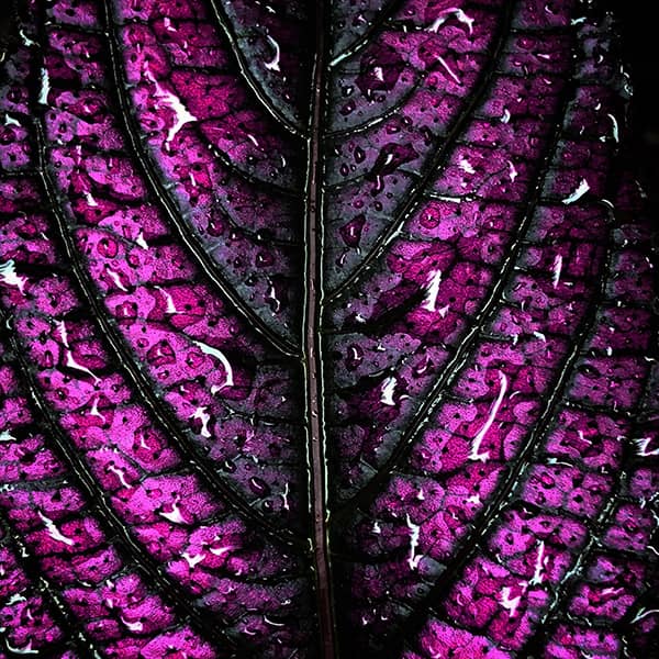 Photography project by 