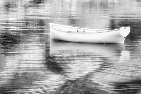 Photography project by 