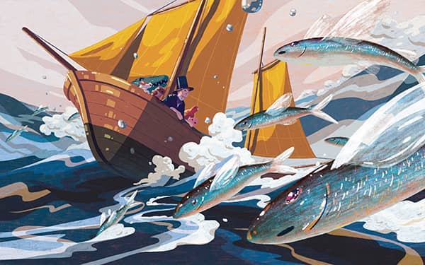 Illustration project by 