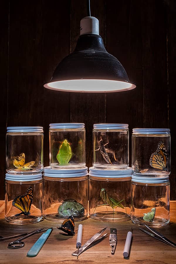 Photography project by 