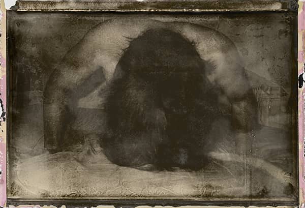 Photography project by 