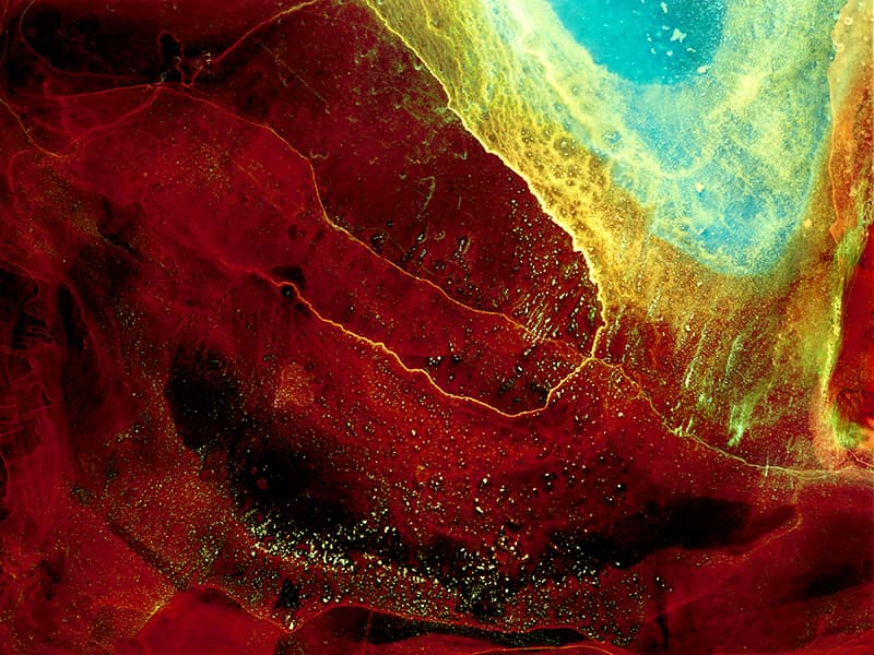 Fine Art project by Nancy McGee