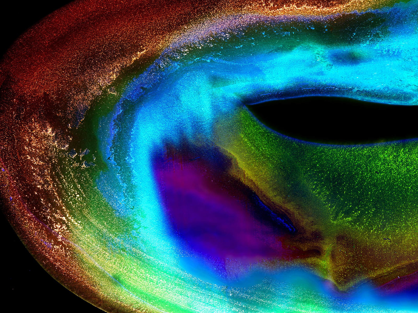 Fine Art project by Nancy McGee