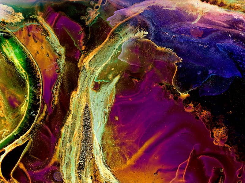 Fine Art project by Nancy McGee