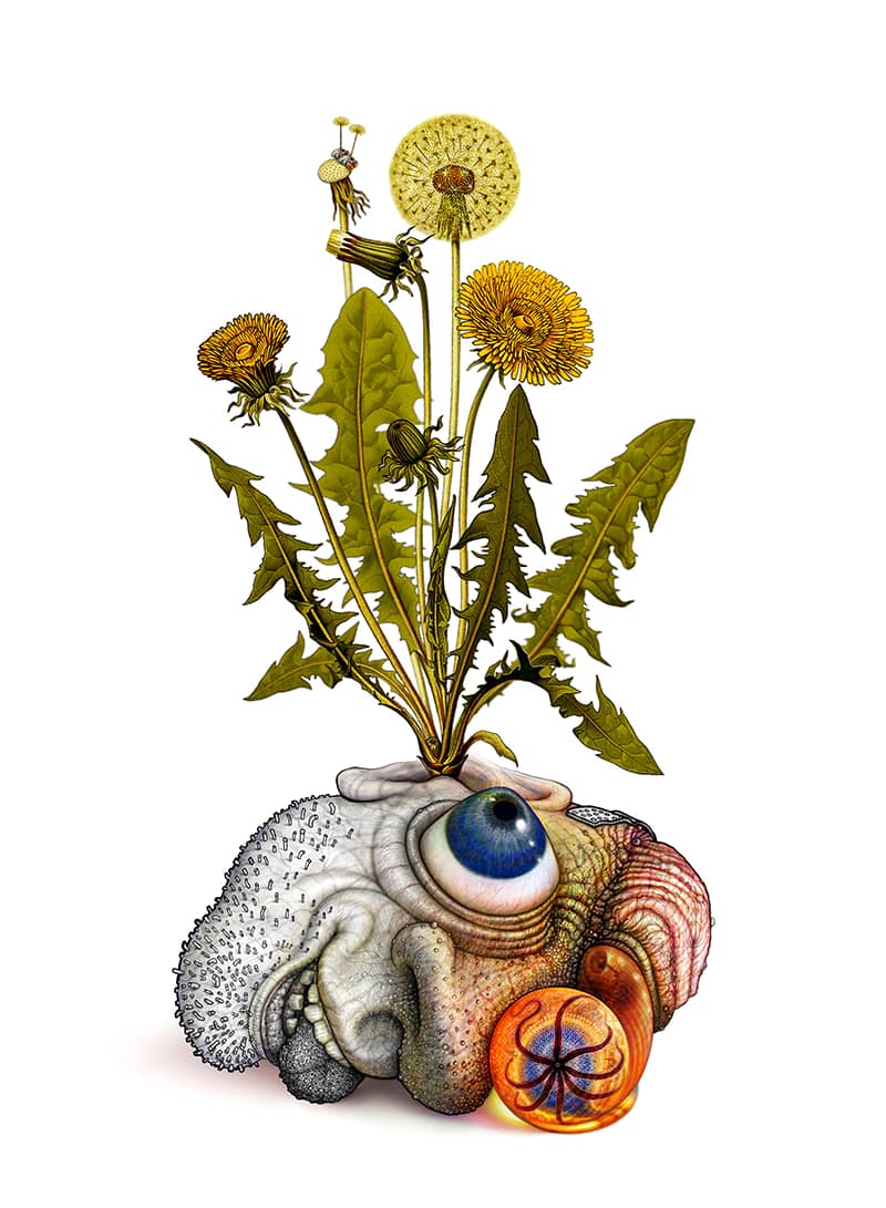 Illustration project by Scott Eagle