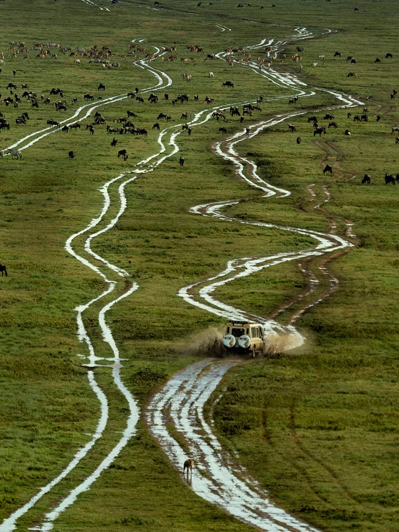 Photography project by Jay B Dickman