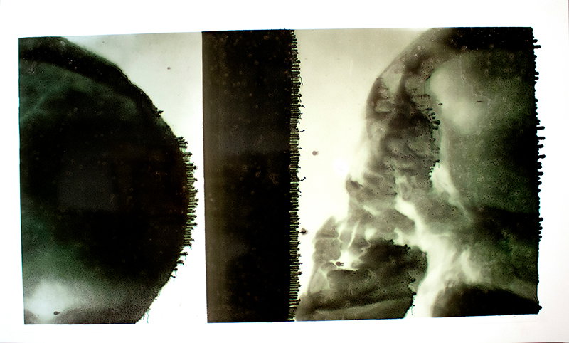 Fine Art project by Alice Salyer