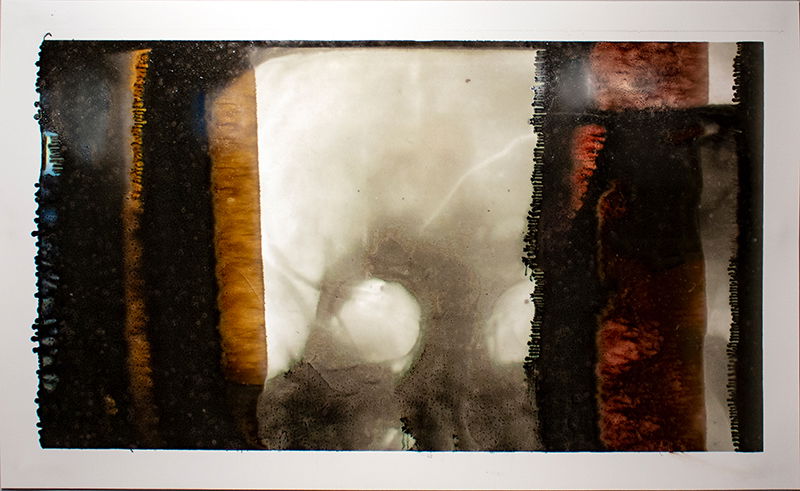 Fine Art project by Alice Salyer