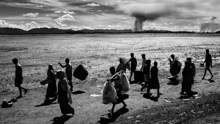 Mohammad Rakibul Hasan