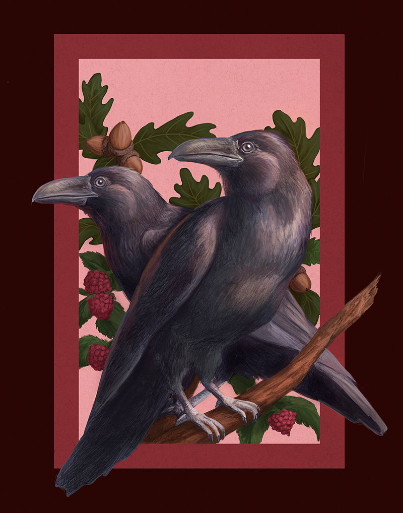 Illustration project by Jennifer Ober