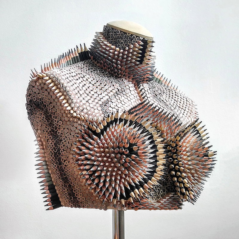 Illustration project by Molly Gambardella