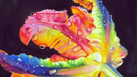 Catherine Martinez-Perez