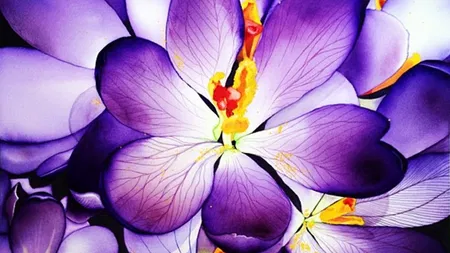 Catherine Martinez-Perez