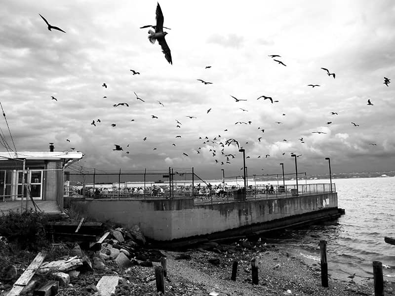 Photography project by Gloria Golden