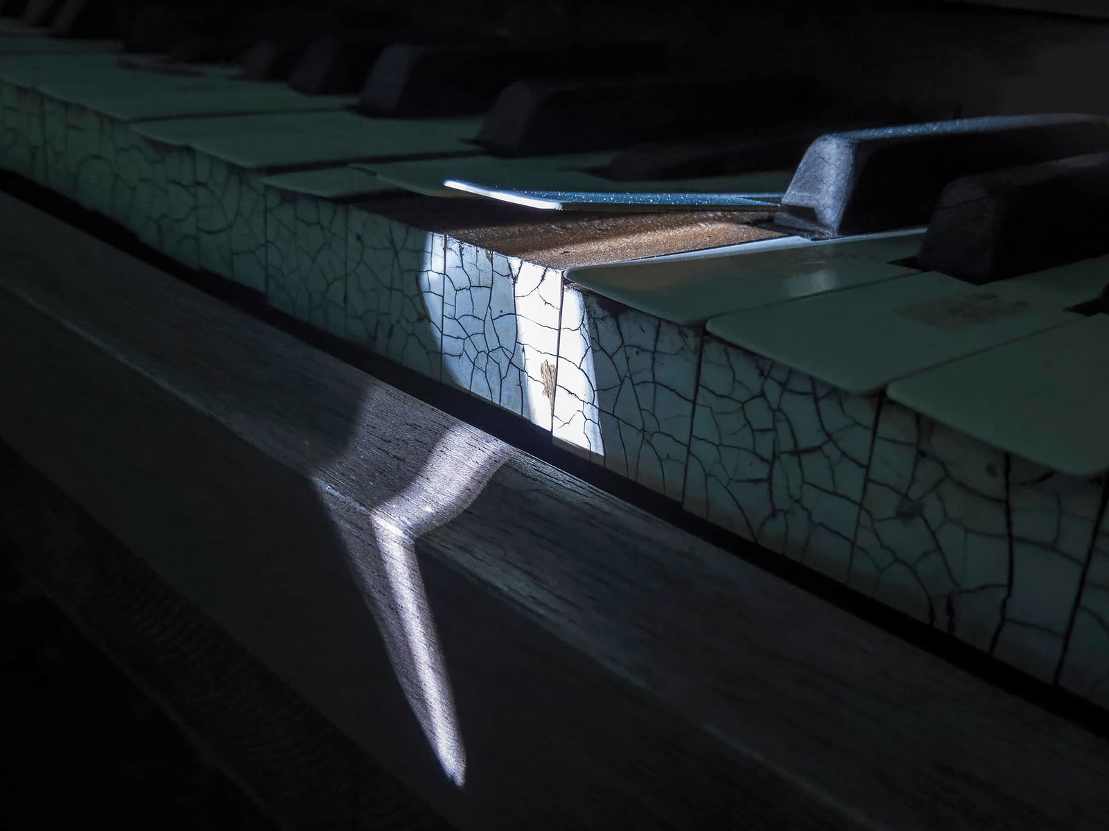 Photography project by Jerry Lofaro