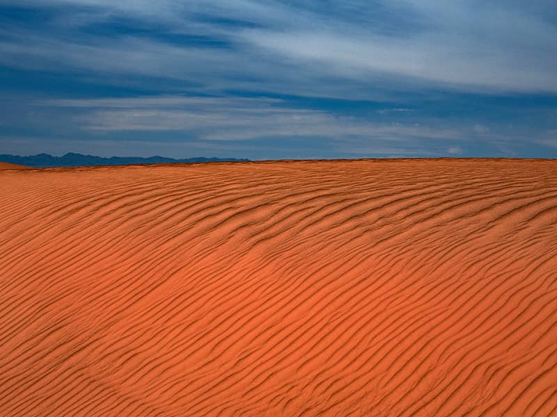 Photography project by Jay Dickman