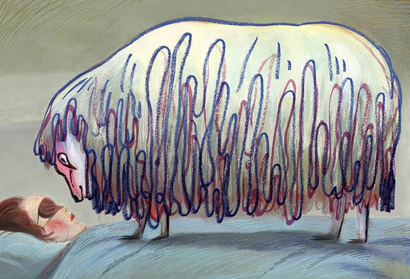 Illustration project by Nan Cao