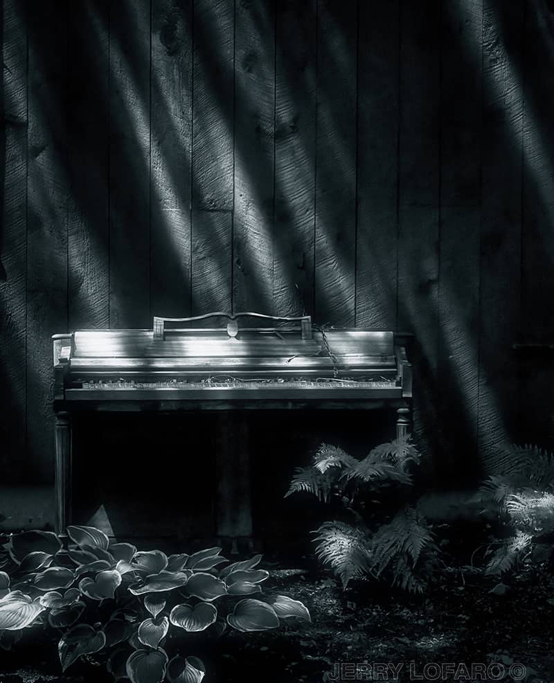 Photography project by Jerry Lofaro