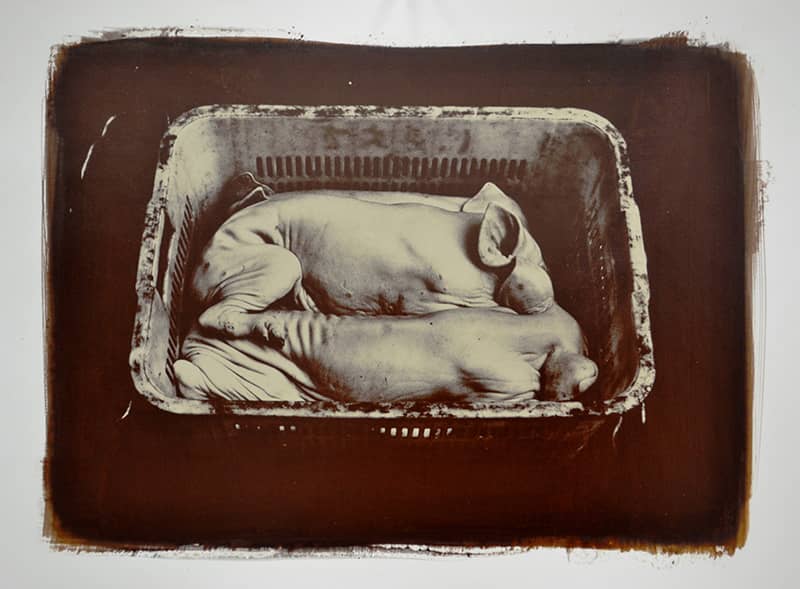 Fine Art project by John Banasiak