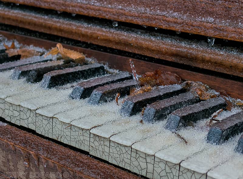 Photography project by Jerry Lofaro