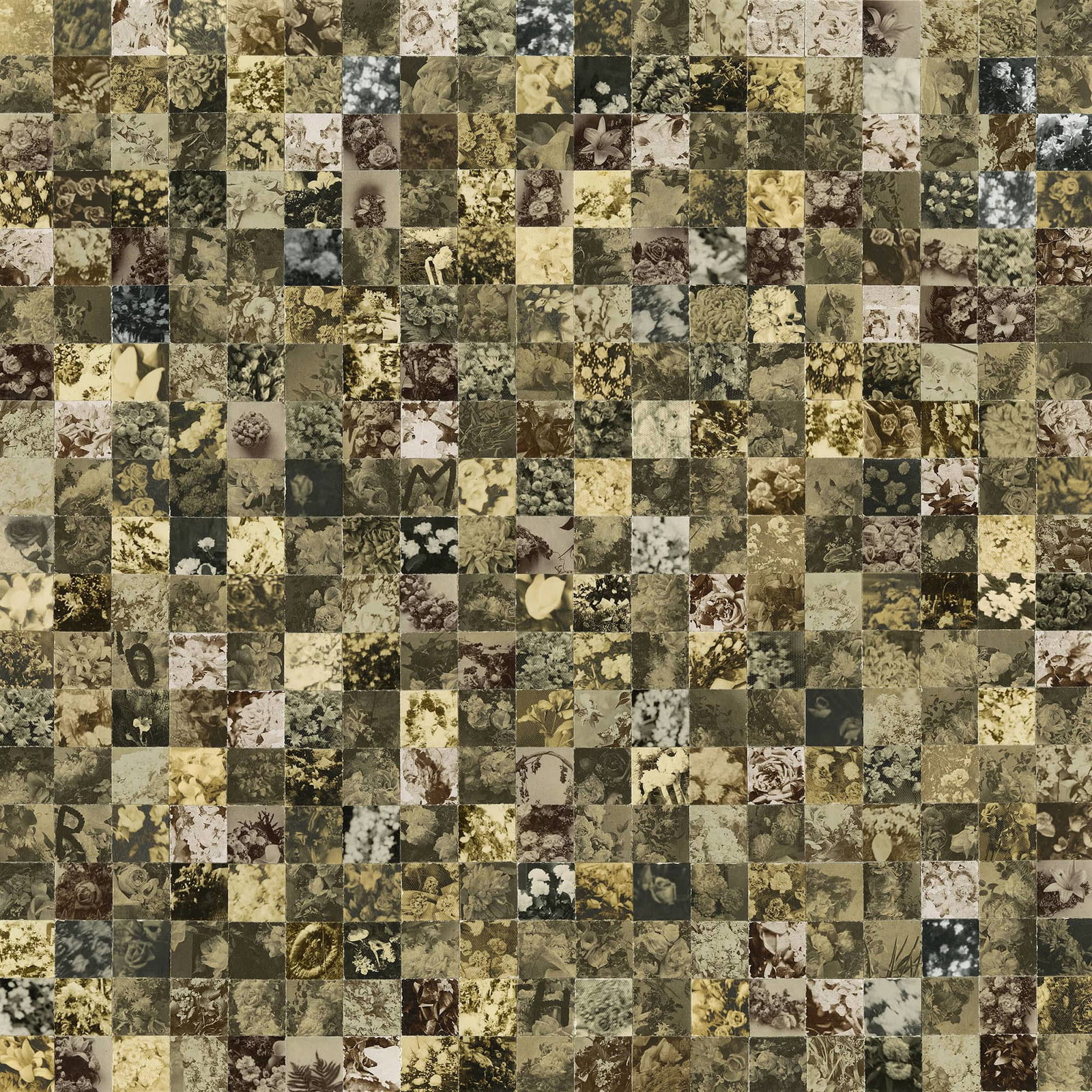 Fine Art project by Greg Sand