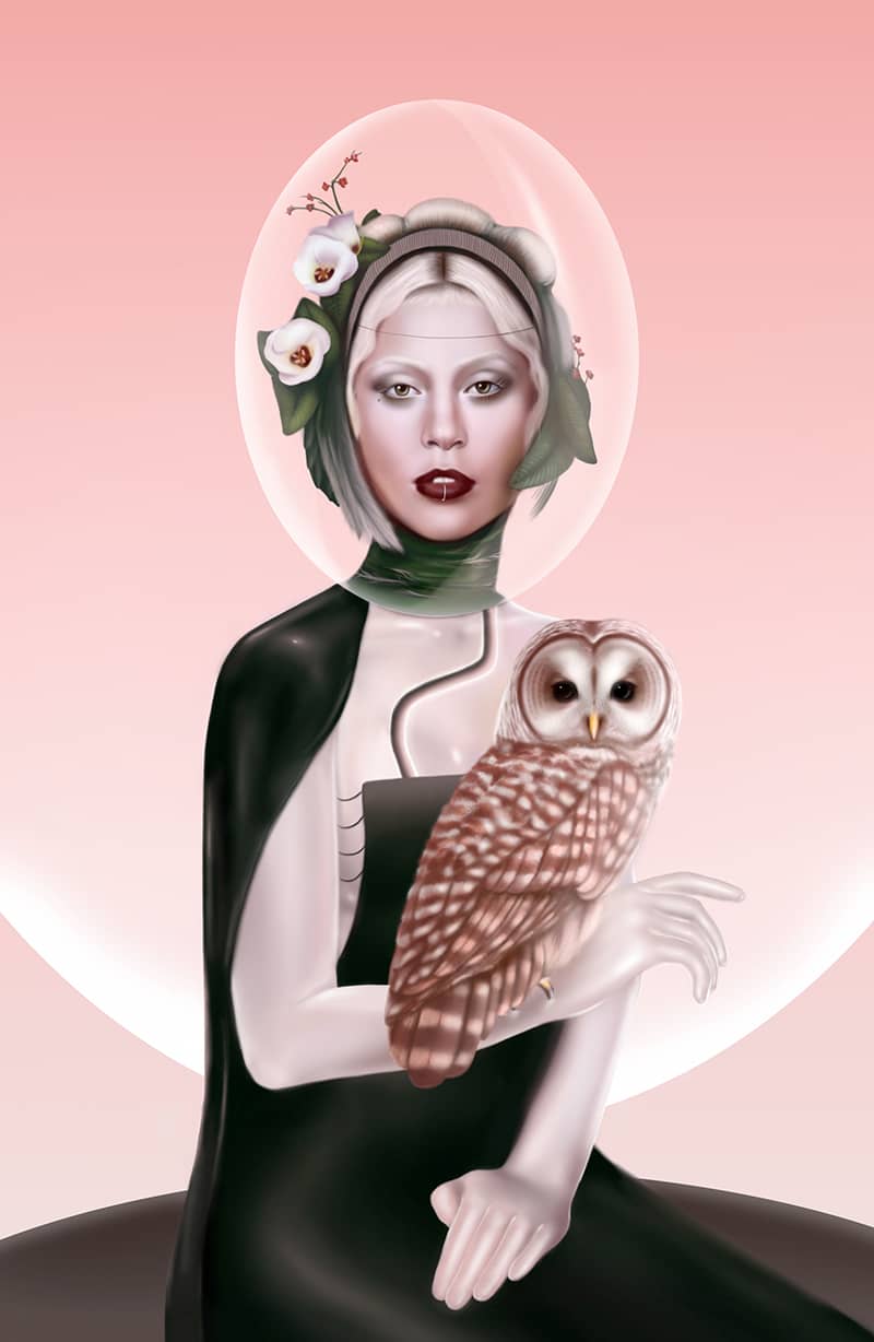 Illustration project by Amanda Arlotta