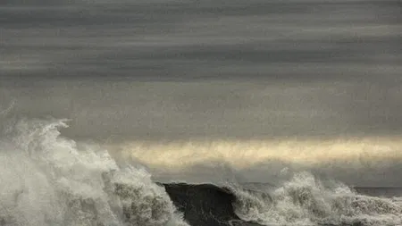 Kristofer Dan-Bergman